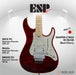 ESP Original SNAPPER-CTM24 FR FM/HR - Black Cherry [MIJ - Made in Japan] - Music Bliss Malaysia