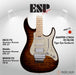 ESP Original SNAPPER-CTM24 FR FM/HR - Tiger Eye Sunburst [MIJ - Made in Japan] - Music Bliss Malaysia