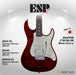 ESP Original SNAPPER-CTM FM/HR - Black Cherry [MIJ - Made in Japan] - Music Bliss Malaysia
