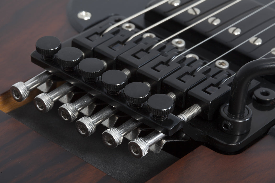 Schecter Svss Exotic Ziricote Electric Guitar - Ziricote