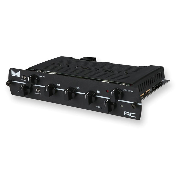 Synergy Morgan AC 2-channel Preamp Module
