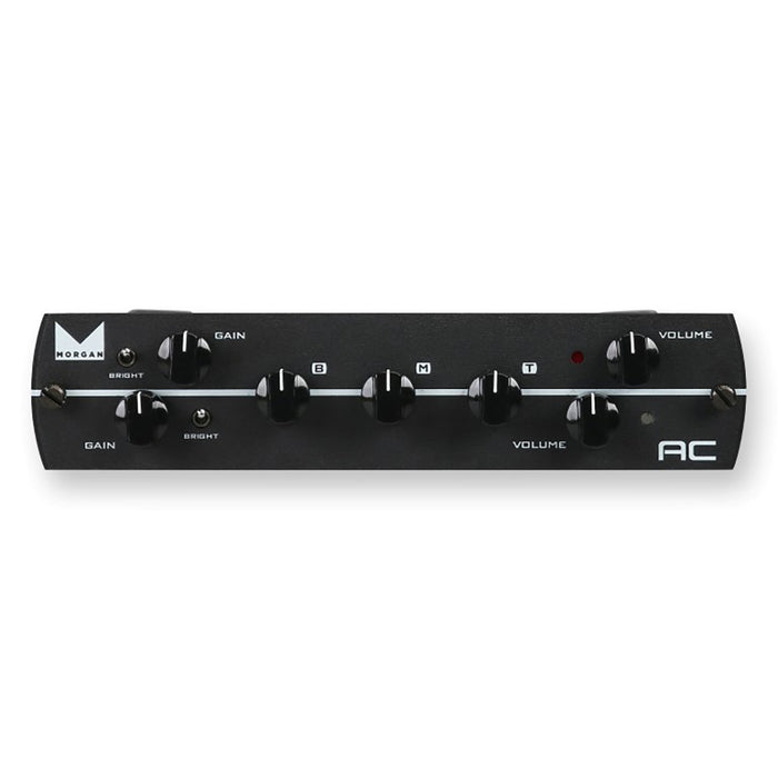 Synergy Morgan AC 2-channel Preamp Module