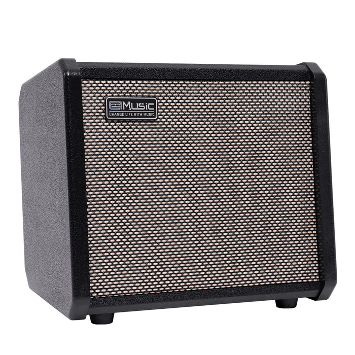 COOLMusic TS-20 20-Watt Bass Amplifier