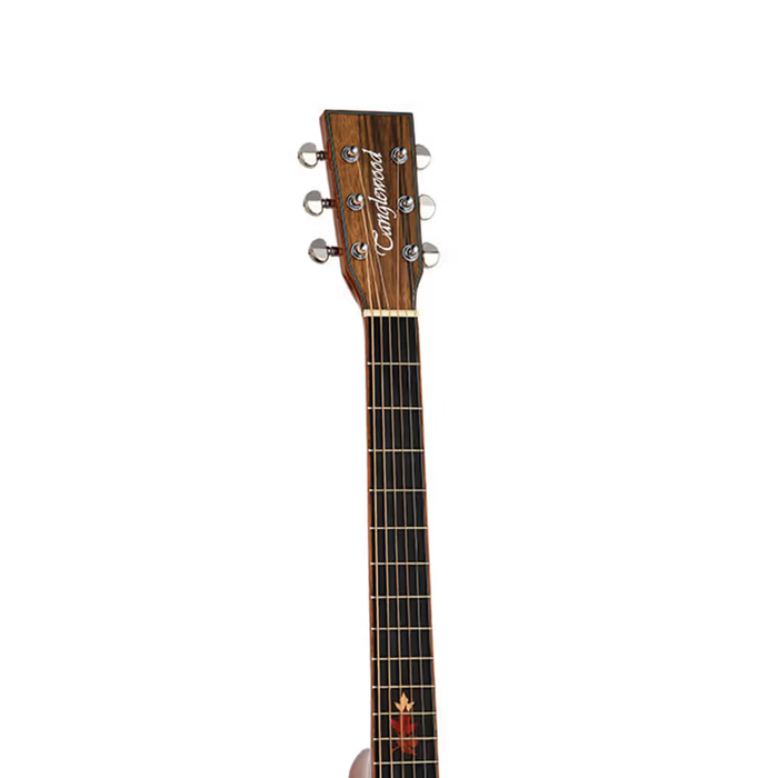 Tanglewood TWX6CEBW Venetian Cutaway with Premium Plus EQ System All Figured Black Walnut Solid Top - Gloss