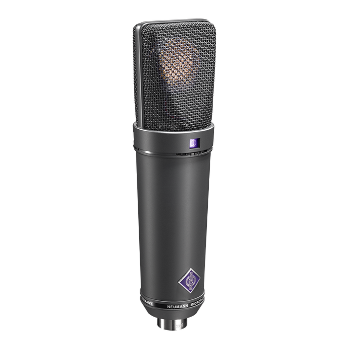 Neumann U 89 i Multi-Pattern Large Diaphragm Condenser Studio Microphone - Matte Black