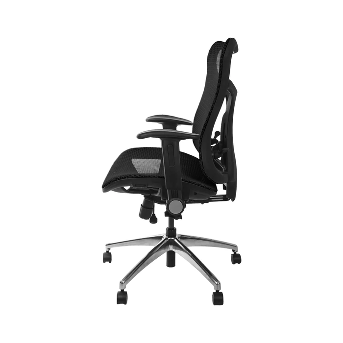 Wavebone Viking - Studio Chair (Without Headrest) (Black)