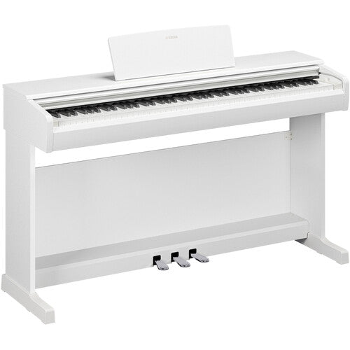Yamaha Arius YDP-146 88-Keys Digital Piano with FREE Bench - White