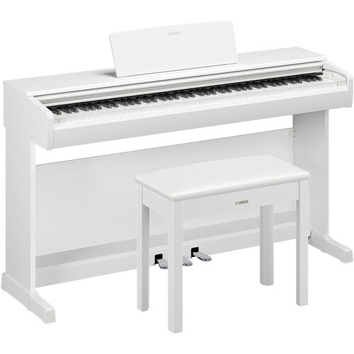 Yamaha Arius YDP-146 88-Keys Digital Piano with FREE Bench - White