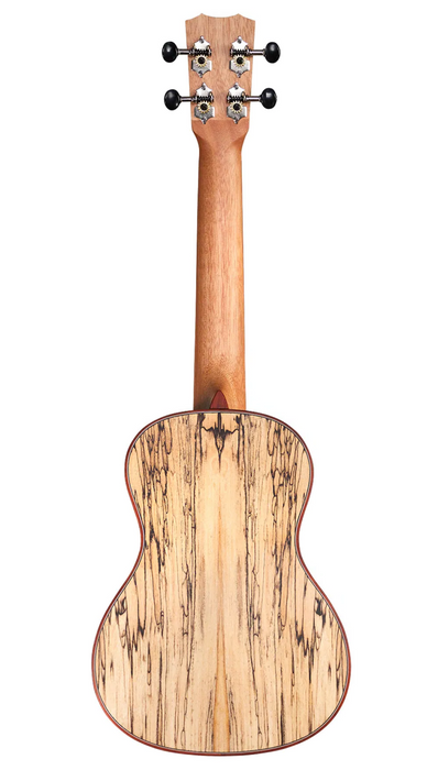 Cordoba 24C Concert Ukulele - Spruce Top, Maple Back and Sides