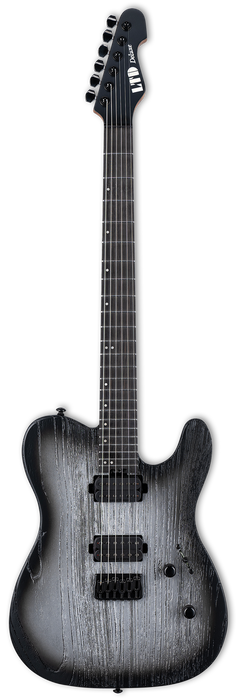 ESP LTD TE-1000 Electric Guitar - Silver Blast