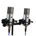 Aston Microphones Spirit Stereo Pair - Music Bliss Malaysia