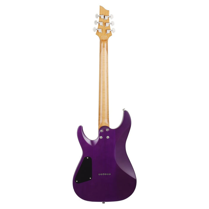 Schecter C-1 Standard Plus Electric Guitar - Trans Purple Burst