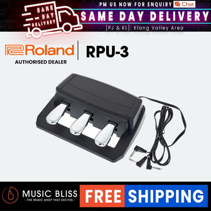 Roland RPU-3 Triple Pedal Unit with Half-damper Function - Music Bliss Malaysia