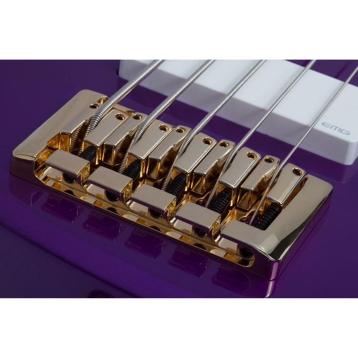 Schecter Freezesicle-5 Electric Bass Guitar - Freeze Purple
