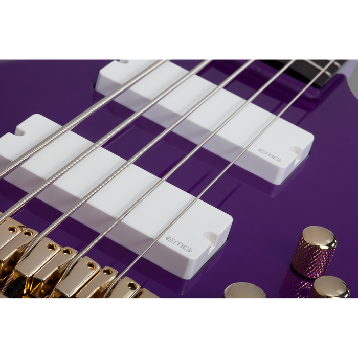 Schecter Freezesicle-5 Electric Bass Guitar - Freeze Purple