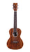 Cordoba 15CB Bocote Concert Ukulele - Bocote Top, Bocote Back & Sides - Music Bliss Malaysia