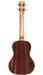 Cordoba 15CB Bocote Concert Ukulele - Bocote Top, Bocote Back & Sides - Music Bliss Malaysia
