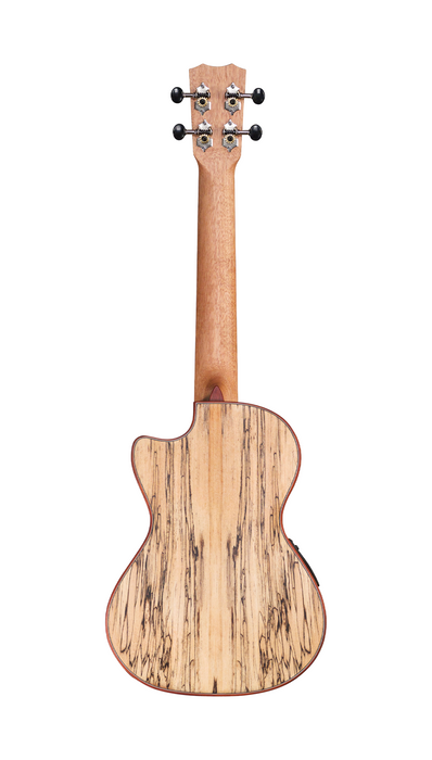 Cordoba 24T-CE Spruce Tenor Electric Ukulele - Spruce Top, Maple Back & Sides - Music Bliss Malaysia
