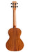 Cordoba 25T Acacia Tenor Ukulele - Solid Acacia Top, Figured Acacia Back & Sides - Music Bliss Malaysia