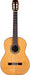 Cordoba C10 CD - Solid Canadian Cedar Top, Solid Rosewood Back & Sides, With Cordoba Polyfoam Guitar Case (Full Solid) (C10CD) - Music Bliss Malaysia