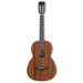 Ibanez AVN9 Artwood Vintage Thermo Aged - Open Pore Natural - Music Bliss Malaysia