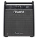 Roland PM-200 180-Watt 1x12 2-Channel Powered Drum Monitor - Music Bliss Malaysia