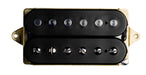 DiMarzio DP224 AT-1 F-Spaced Version Andy Timmons Humbucker Pickup (DP-224) - Music Bliss Malaysia