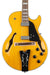 Ibanez George Benson Signature GB10EM - Antique Amber - Music Bliss Malaysia