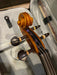 Benjamin Kienz Selection Professional 80 4/4 Size Violin with Case for 12+ years old - Music Bliss Malaysia
