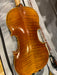 Benjamin Kienz Selection VPR50 4/4 Size Violin with Case for 12+ years old - Music Bliss Malaysia