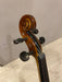Benjamin Kienz Selection APE35-15 15'' Viola with Case - Music Bliss Malaysia