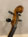 Benjamin Kienz Selection APE35-15.5 15.5'' Viola with Case - Music Bliss Malaysia