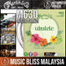 Martin M630 Ukelele Strings Fluorocarbon, Baritone - Music Bliss Malaysia