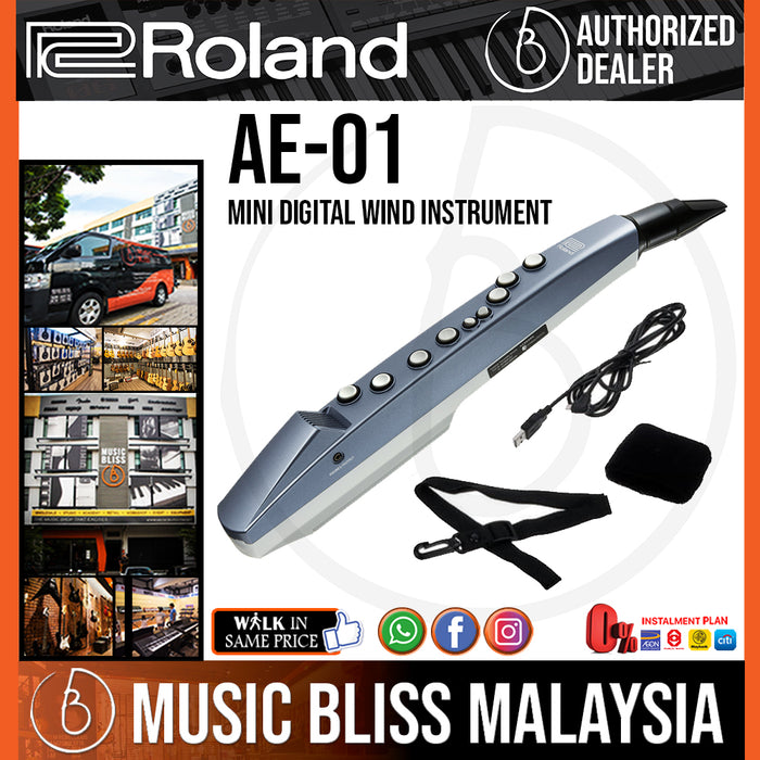Aerophone on sale mini roland