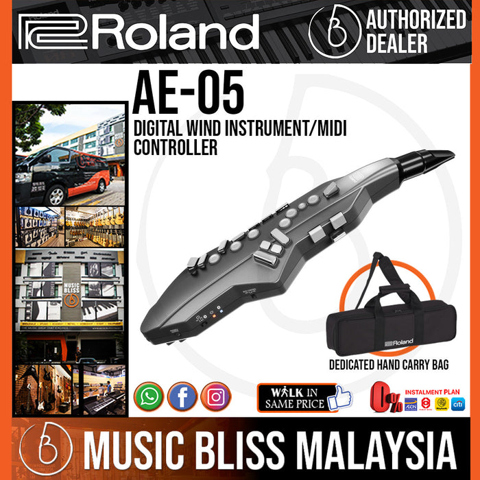 Roland aerophone go digital wind instrument outlet