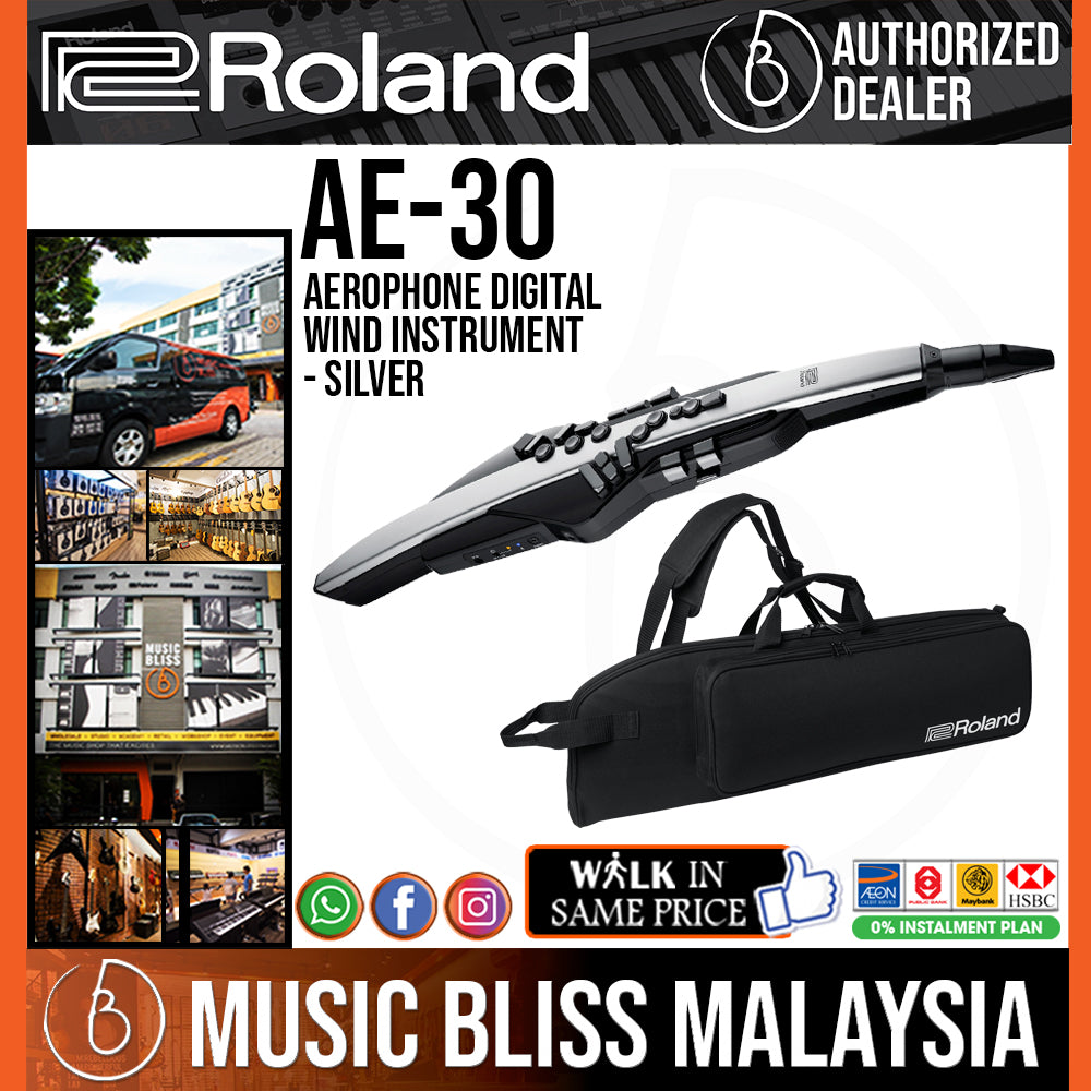 Roland Aerophone Pro AE 30 Digital Wind Instrument Silver