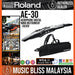 Roland Aerophone Pro AE-30 Digital Wind Instrument - Silver - Music Bliss Malaysia