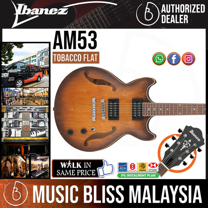 Ibanez Artcore AM53 - Tobacco Flat - Music Bliss Malaysia