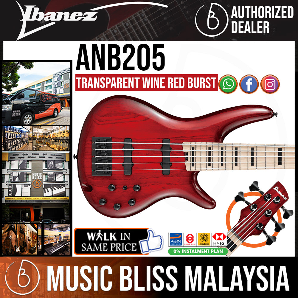 Ibanez Adam Nitti Signature Premium ANB205 Bass Guitar