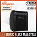 Bugera BXD15 1x15" 100-Watt 2-Channel Bass Combo - Music Bliss Malaysia