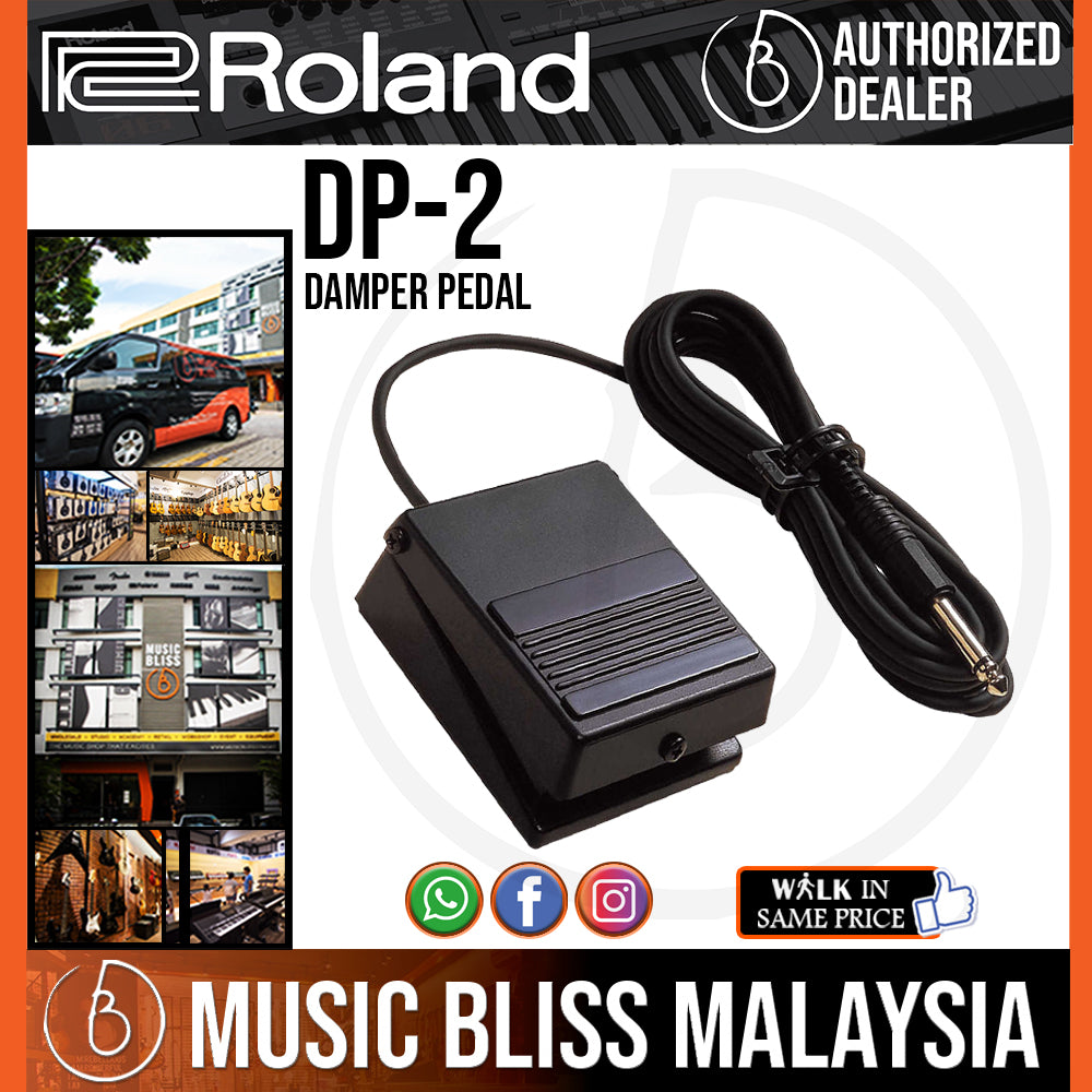 roland dp-2 pedal switch Roland DP-2 Damper Pedal (DP2)