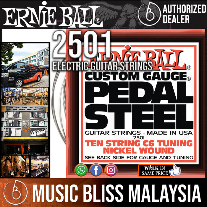 Ernie Ball 2501 Pedal Steel 10-string C6 Tuning Nickel Wound Guitar Strings (12-66) - Music Bliss Malaysia