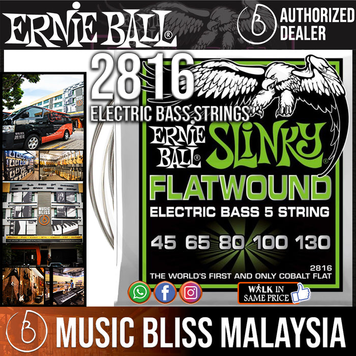 Ernie Ball 2816 5-string Regular Slinky Flatwound Electric Bass Strings (45-130) - Music Bliss Malaysia