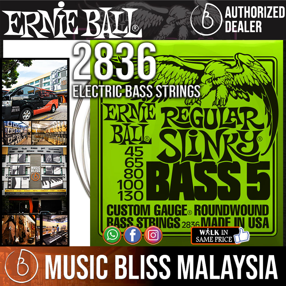 Ernie Ball Regular Slinky 5 String Nickel Wound Bass Strings