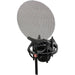 sE Electronics Isolation Pack Quick Release Shock Mount With Adjustable Pop Filter - Music Bliss Malaysia