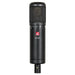 SE Electronics sE2200 II Large-diaphragm Condenser Microphone - Music Bliss Malaysia