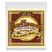 Ernie Ball 2043 Earthwood Silk & Steel Regular 80/20 Bronze Acoustic Strings (13-56) - Music Bliss Malaysia