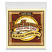 Ernie Ball 2051 Earthwood Silk & Steel Soft 12-String 80/20 Bronze Acoustic Guitar Strings (9-46) - Music Bliss Malaysia