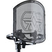 Aston Microphones SwiftShield - Shock Mount/Pop Filter Bundle - Music Bliss Malaysia