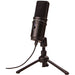 Zoom ZUM-2 Podcast Microphone - Music Bliss Malaysia